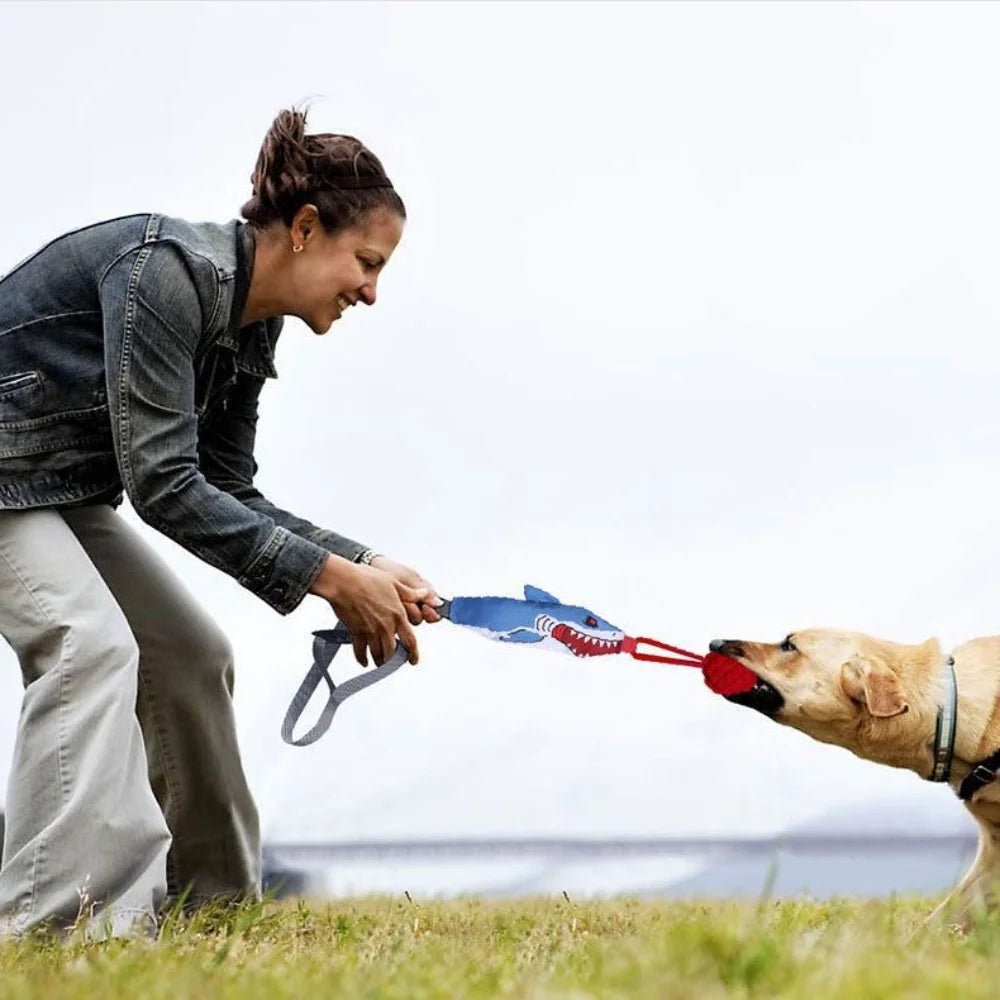 HaiZug Hundespielzeug mit Zugseil