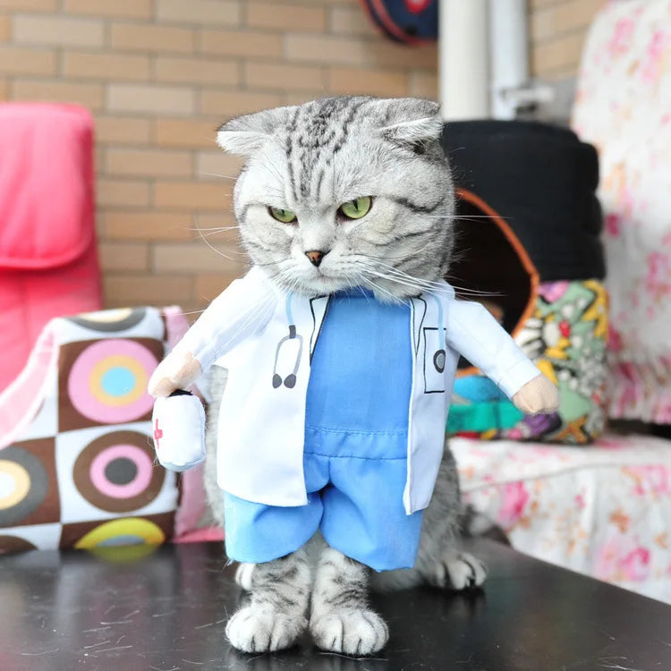 Einzigartige Tierkostüme - Perfekt für Fotoshootings & Events