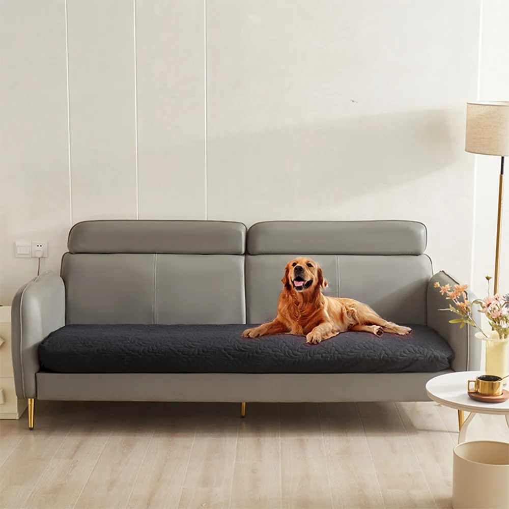 Premium Hundedecke wasserdicht – Sofa, Bett & Möbel schützen