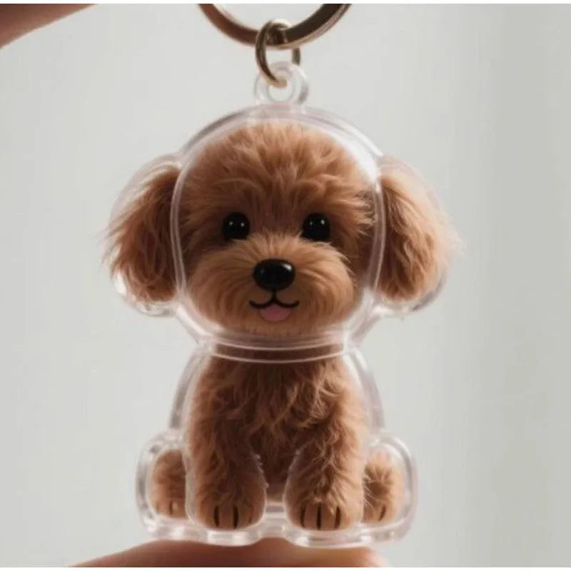 Transparenter Fell-Erinnerungsanhänger für Hunde & Katzen 🐶🐱