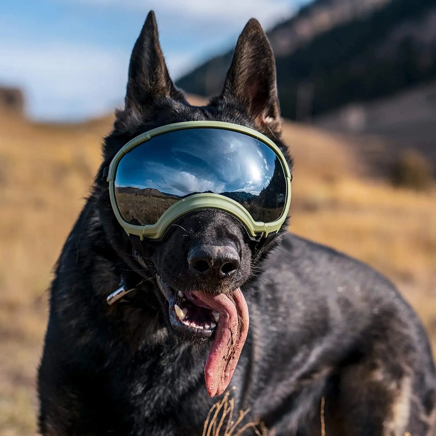 Anti-UV-Hundebrille – Stoßfest, winddicht und verstellbar
