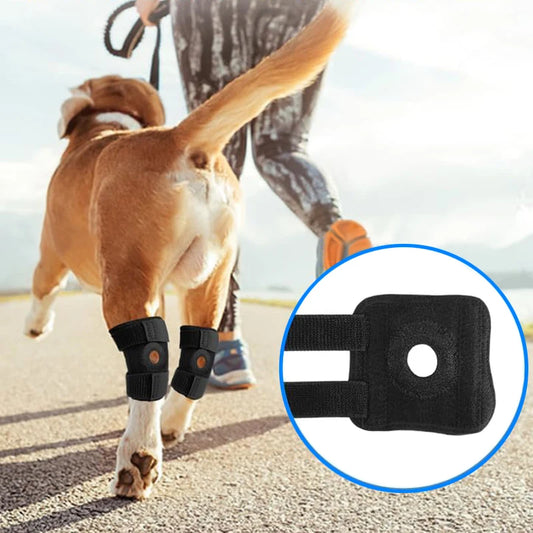 Orthopädische Gelenkbandage für Hunde – Gelenkschutz & Stabilität