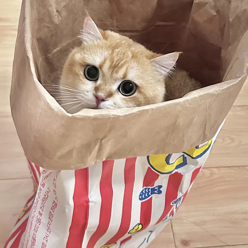 Versteckspiel Kraftpapier Spielzeug für Hunde & Katzen