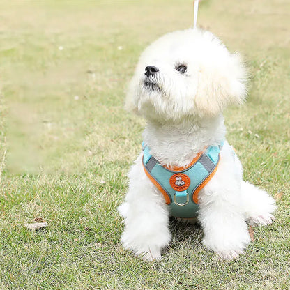 Hochwertiges, atmungsaktives Hundegeschirr – bequem, sicher und verstellbar