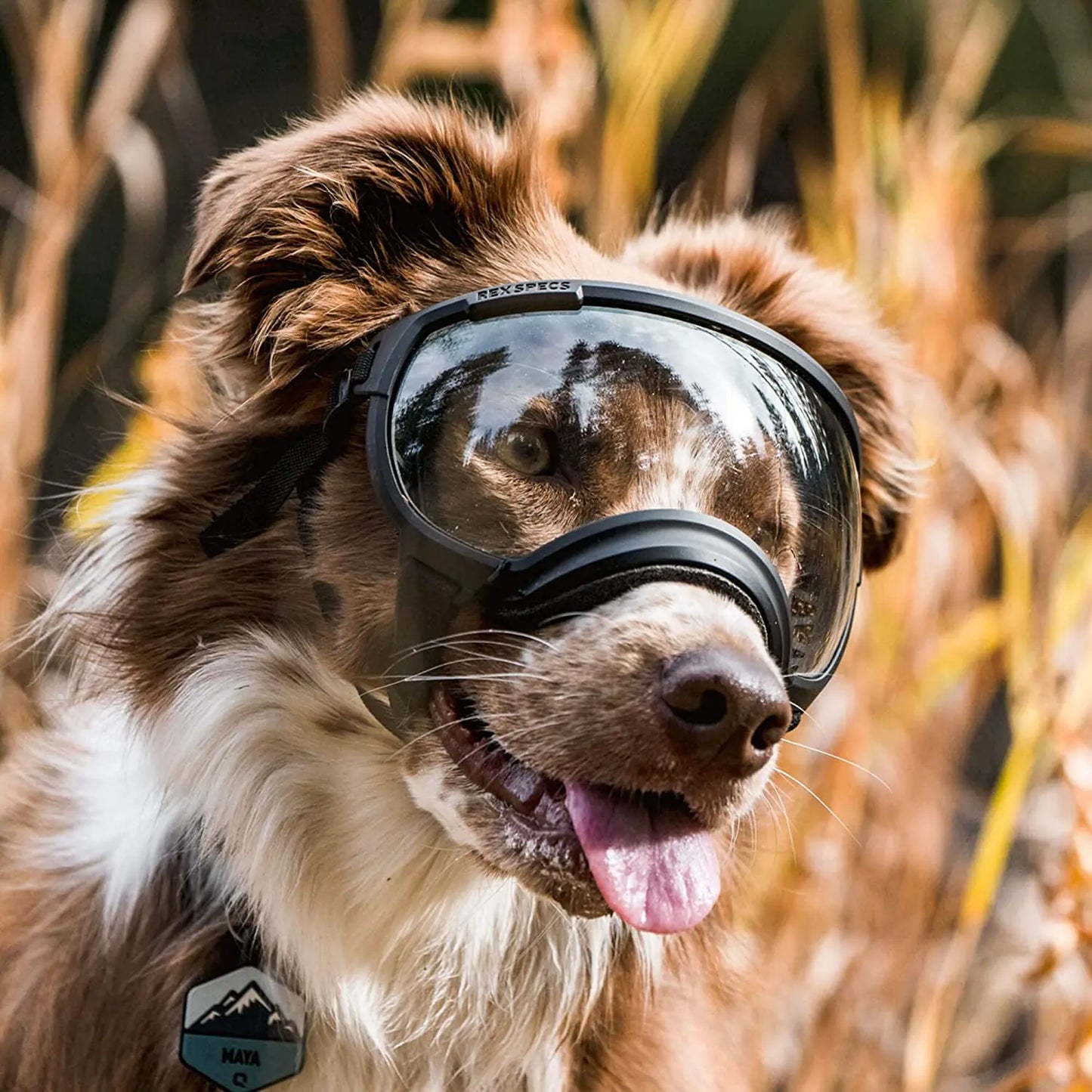 Anti-UV-Hundebrille – Stoßfest, winddicht und verstellbar