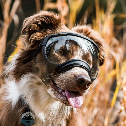 Anti-UV-Hundebrille – Stoßfest, winddicht und verstellbar
