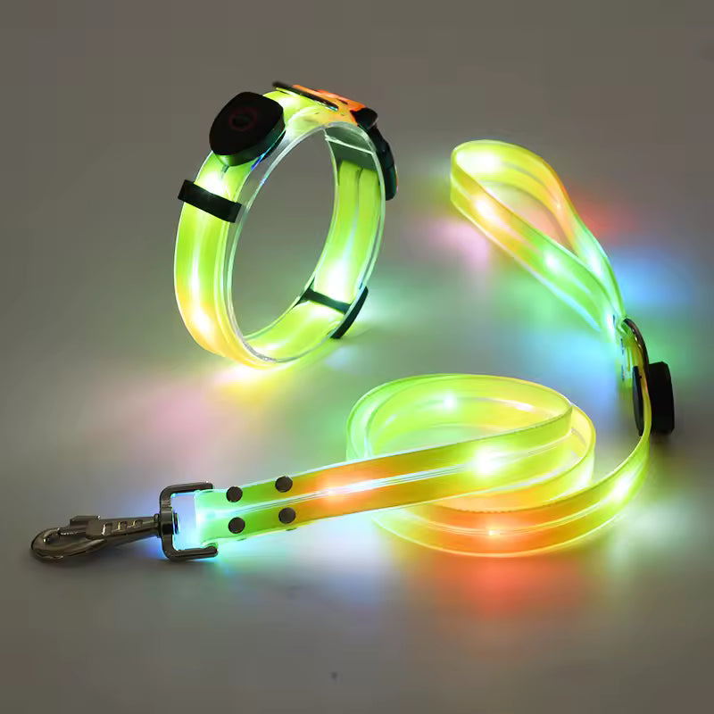 Leuchtendes LED Halsband & Leine für Hunde USB Set aus Halsband und Leine Gelb
