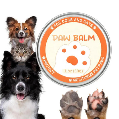 Natürlicher Pfotenschutz – Pflege für trockene Pfoten & Nasen