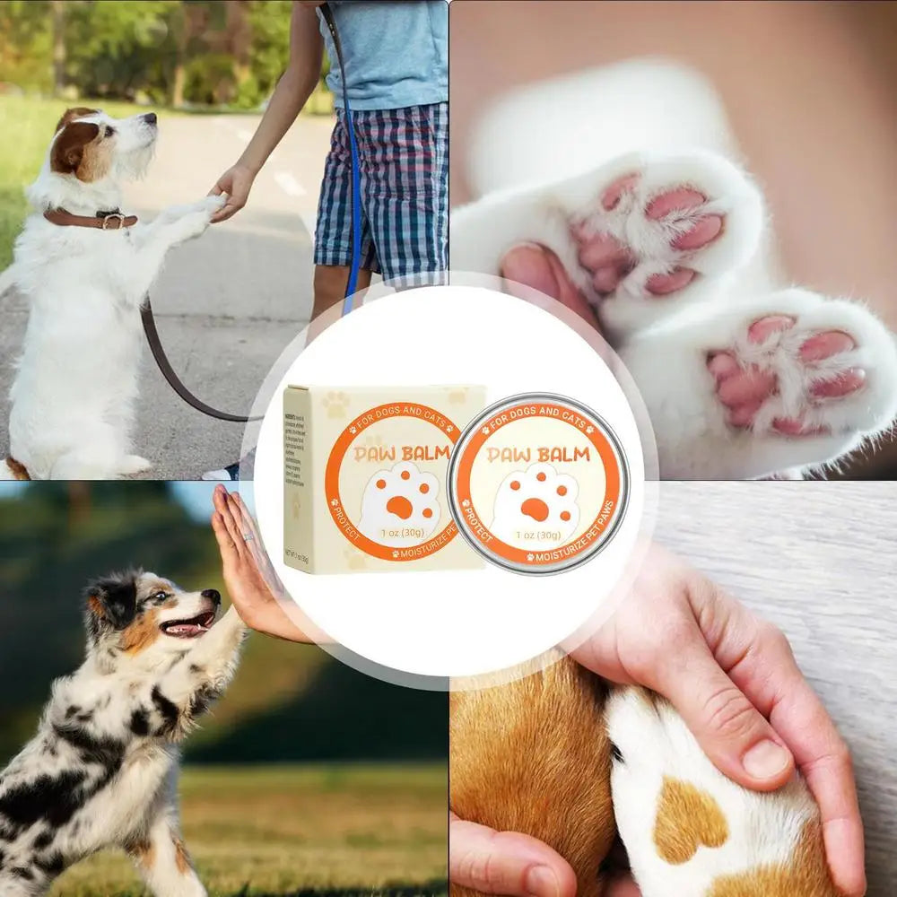 Natürlicher Pfotenschutz – Pflege für trockene Pfoten & Nasen