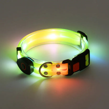 Leuchtendes LED Halsband & Leine für Hunde USB Halsband Gelb