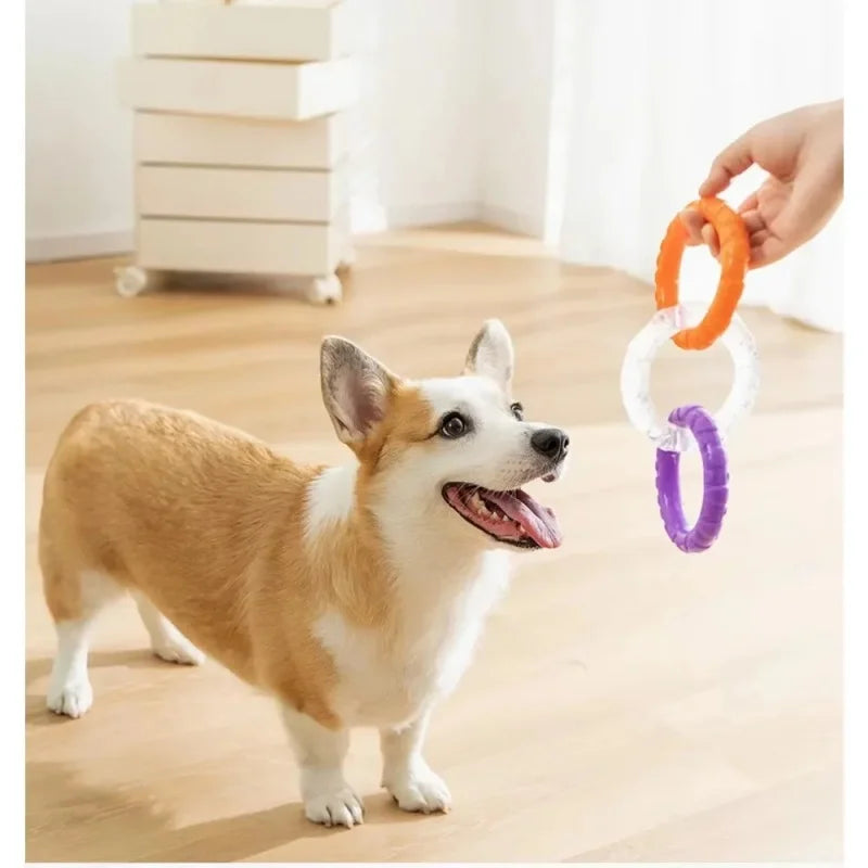 3 Ring Kauspielzeug für Hunde robust und zahnschonend