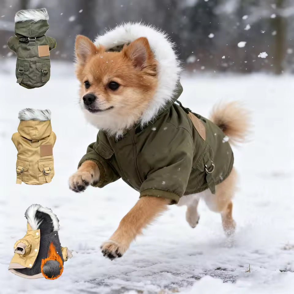 Winter Hundejacke mit Kapuze – Warm & stylisch für kleine Hunde