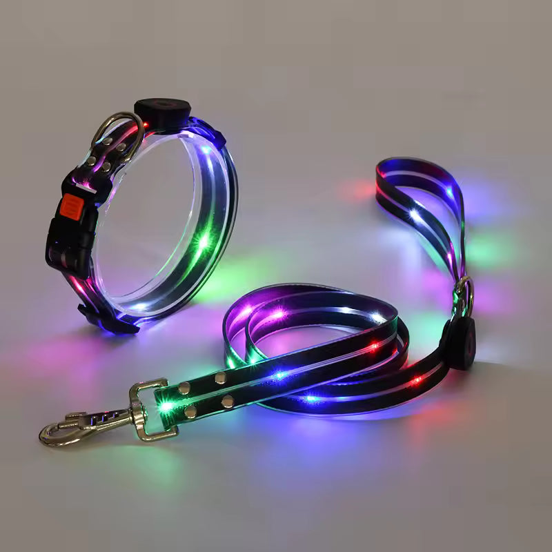Leuchtendes LED Halsband & Leine für Hunde USB Set aus Halsband und Leine Schwarz