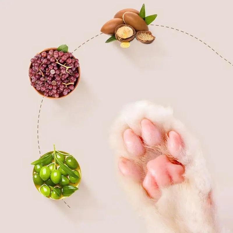 Natürlicher Pfotenschutz – Pflege für trockene Pfoten & Nasen