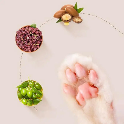 Natürlicher Pfotenschutz – Pflege für trockene Pfoten & Nasen