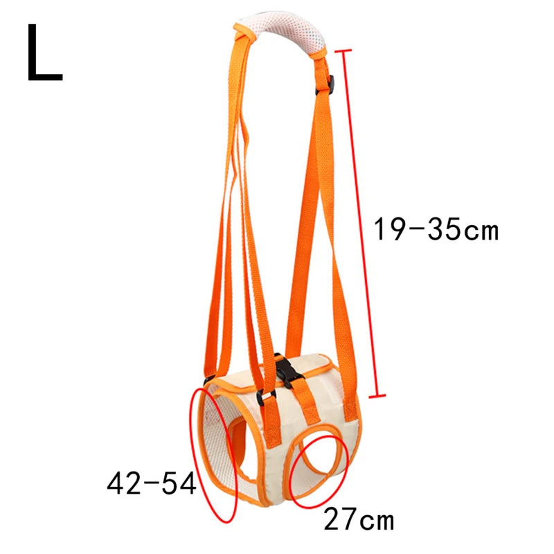 Ergonomischer Hunde Hebegurt für Hinterläufe – Komfort & Sicherheit