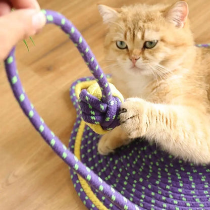 2-in-1 Katzen Kratzteppich & Spielmatte