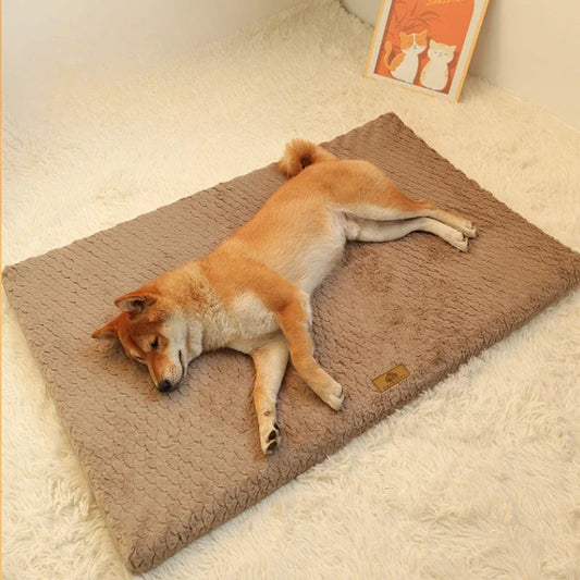 Orthopädisches Hundebett & Katzenbett – Waschbar, Rutschfest, Kuschelig