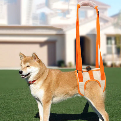 Ergonomischer Hunde Hebegurt für Hinterläufe – Komfort & Sicherheit