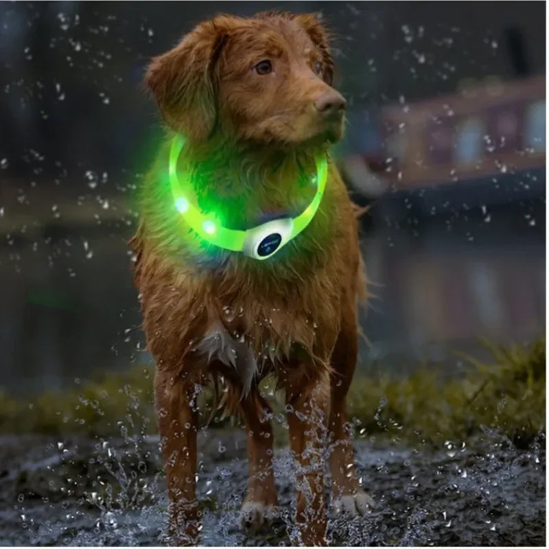 Zuschneidbares USB-LED-Hundehalsband – gut sichtbar, flexibel und wetterfest