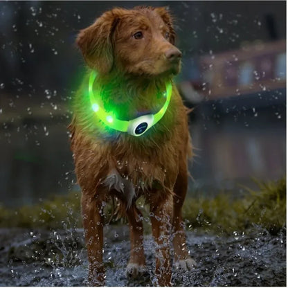 Zuschneidbares USB-LED-Hundehalsband – gut sichtbar, flexibel und wetterfest