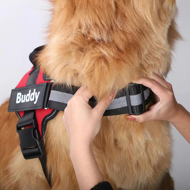 Personalisierbares Hundegeschirr mit Griff & Reflexstreifen