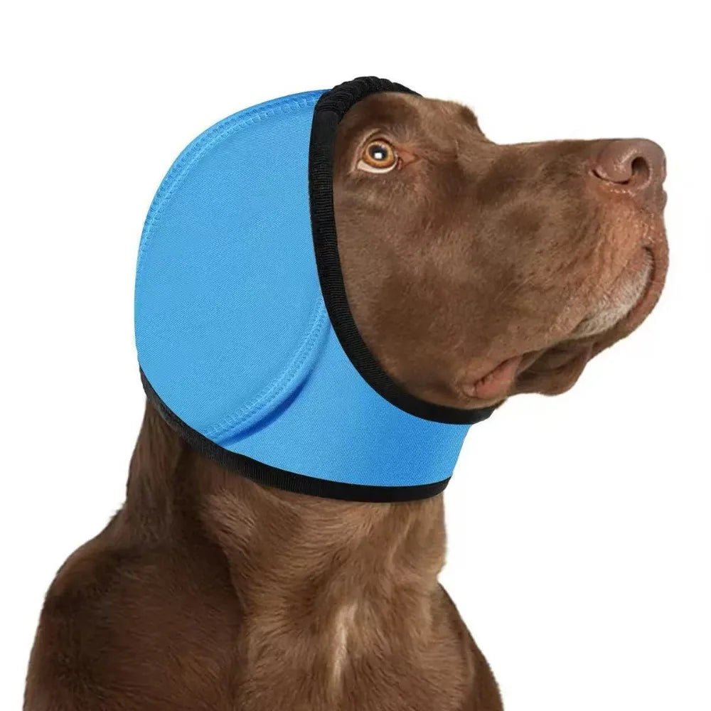 Hunde-Ohrenschutz mit Geräuschdämpfung Blau