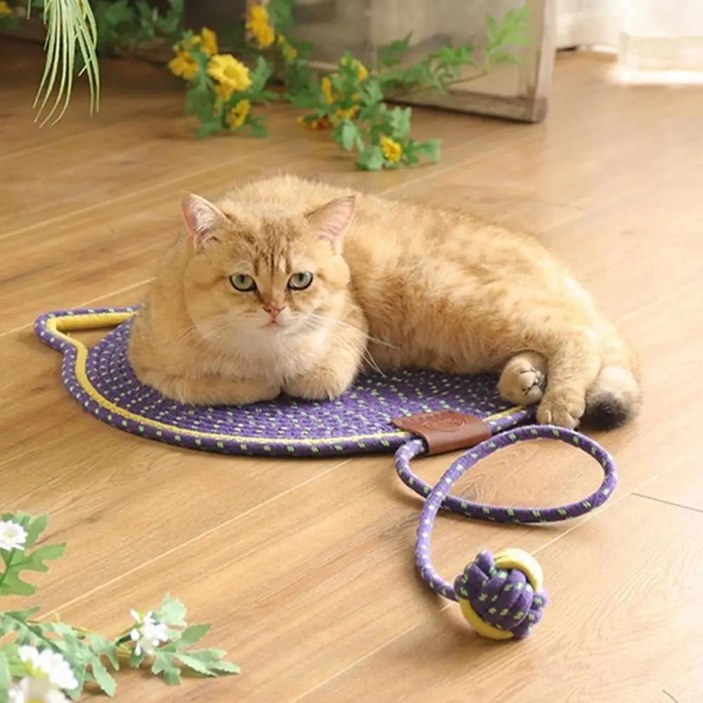 2-in-1 Katzen Kratzteppich & Spielmatte
