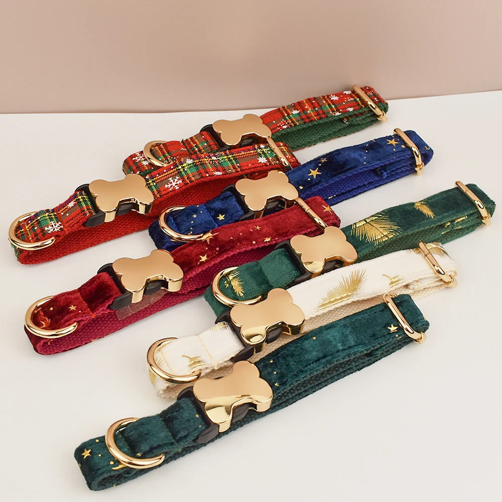 Personalisiertes Samt-Hundehalsband mit Gravur & Stil