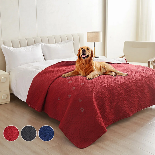 Premium Hundedecke wasserdicht – Sofa, Bett & Möbel schützen
