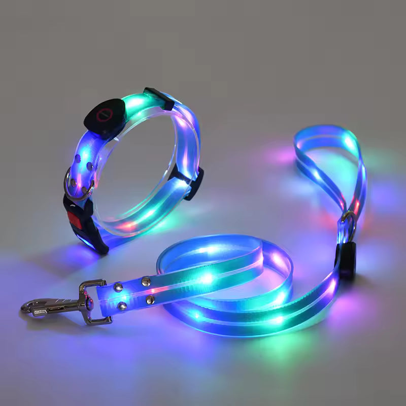 Leuchtendes LED Halsband & Leine für Hunde USB Set aus Halsband und Leine Blau
