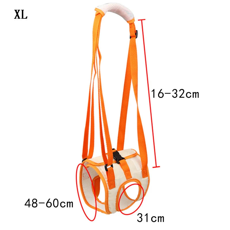 Ergonomischer Hunde Hebegurt für Hinterläufe – Komfort & Sicherheit