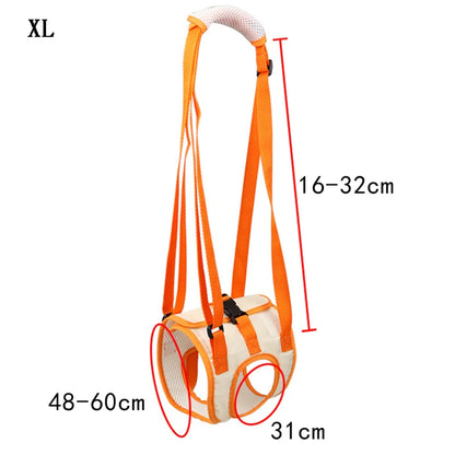 Ergonomischer Hunde Hebegurt für Hinterläufe – Komfort & Sicherheit