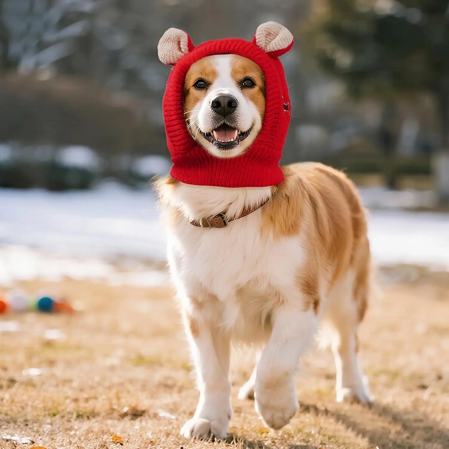 Kuschelige Strickmütze für Hunde