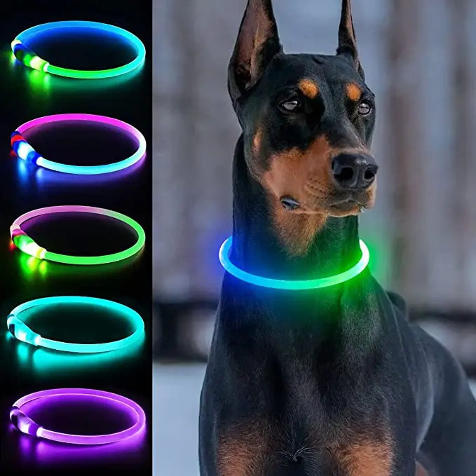 Zuschneidbares USB-LED-Hundehalsband – gut sichtbar, flexibel und wetterfest