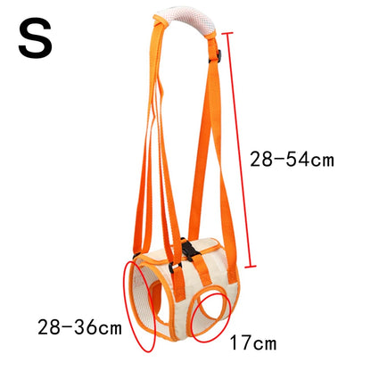Ergonomischer Hunde Hebegurt für Hinterläufe – Komfort & Sicherheit
