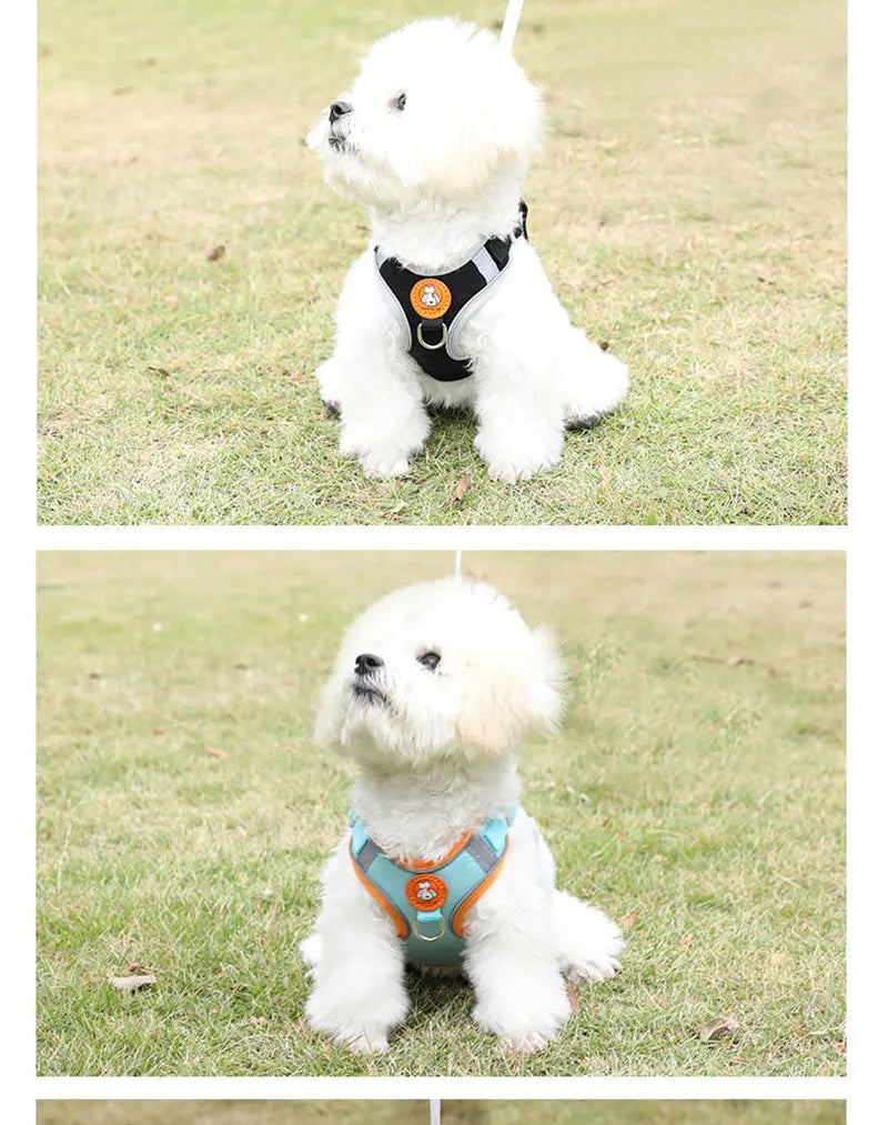 Hochwertiges, atmungsaktives Hundegeschirr – bequem, sicher und verstellbar