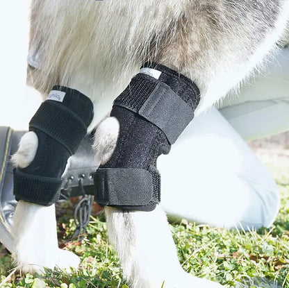 Orthopädische Gelenkbandage für Hunde – Gelenkschutz & Stabilität