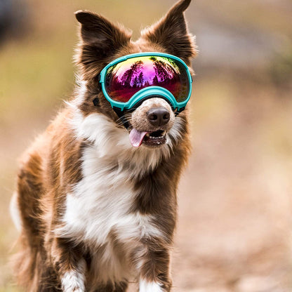 Anti-UV-Hundebrille – Stoßfest, winddicht und verstellbar