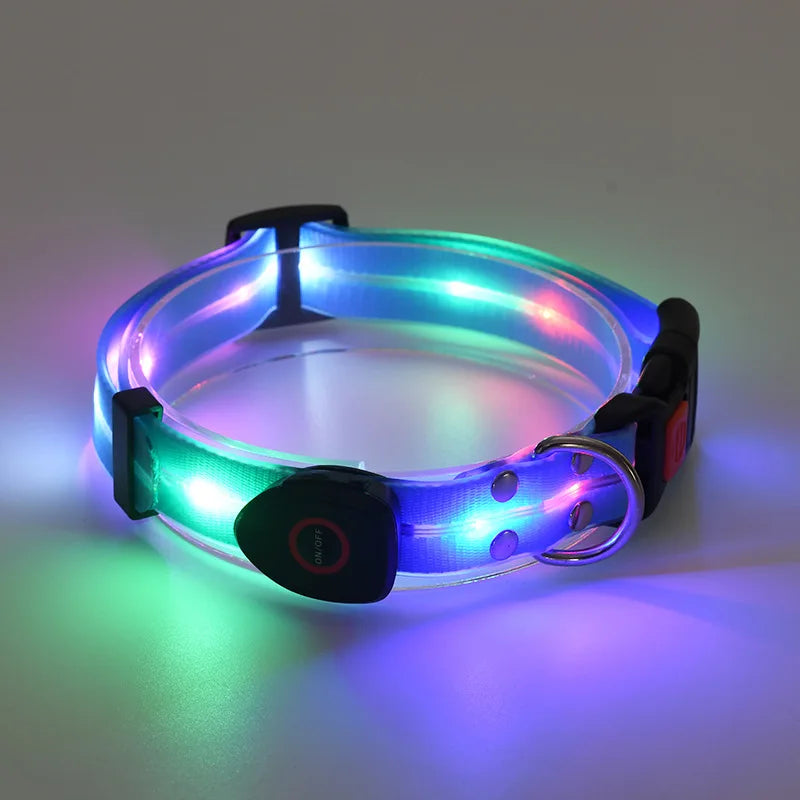 Leuchtendes LED Halsband & Leine für Hunde USB Halsband Blau