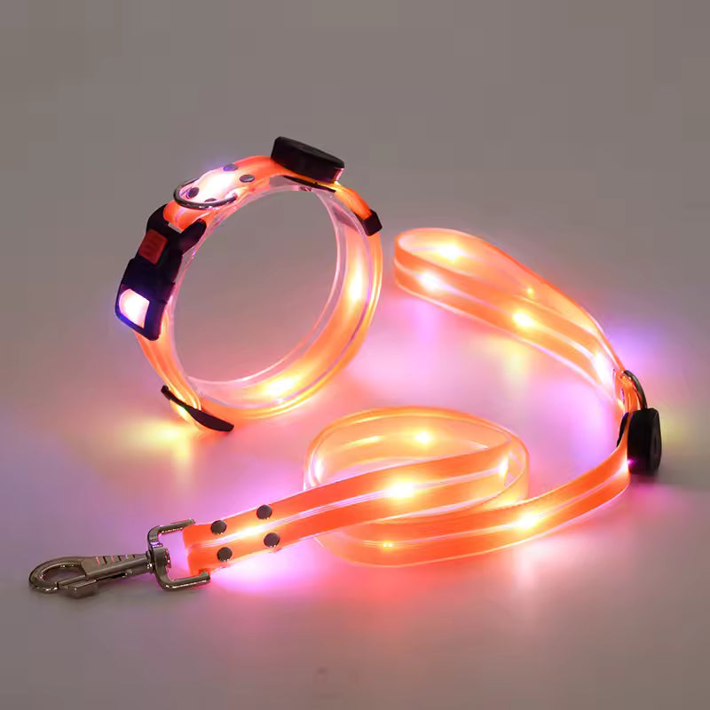 Leuchtendes LED Halsband & Leine für Hunde USB Set aus Halsband und Leine Orange