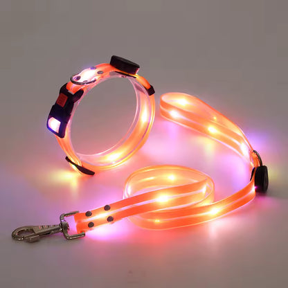 Leuchtendes LED Halsband & Leine für Hunde USB Set aus Halsband und Leine Orange