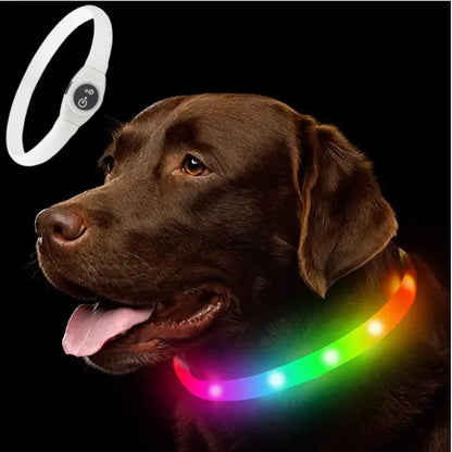 Zuschneidbares USB-LED-Hundehalsband – gut sichtbar, flexibel und wetterfest