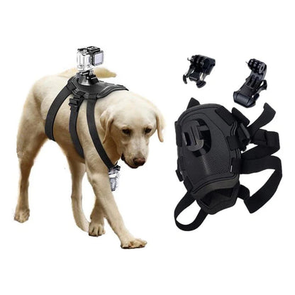 Action-Cam-Hundegeschirr – 360°-Ansicht aus der Hundeperspektive