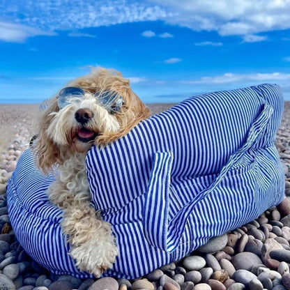 Luxus Auto-Hundesitz – weich, sicher & tragbar für jede Fahrt 🚗🐶