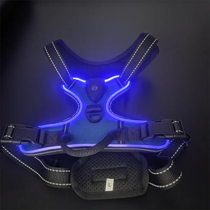 Leuchtendes LED Hundegeschirr – Sicher & Komfortabel bei Nacht