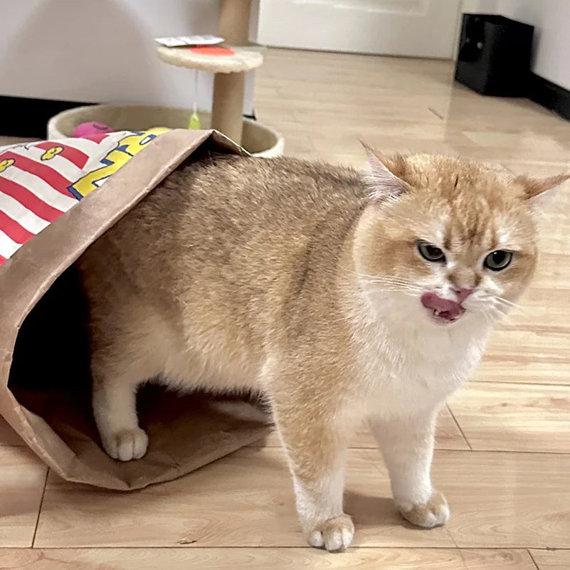 Versteckspiel Kraftpapier Spielzeug für Hunde & Katzen