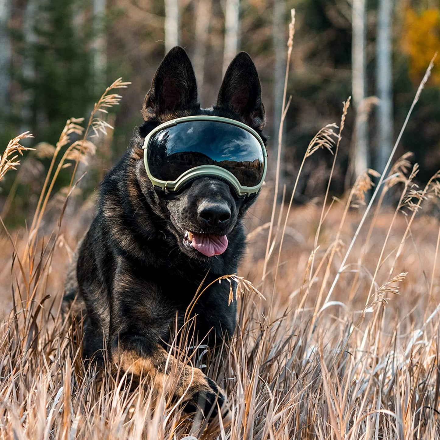 Anti-UV-Hundebrille – Stoßfest, winddicht und verstellbar