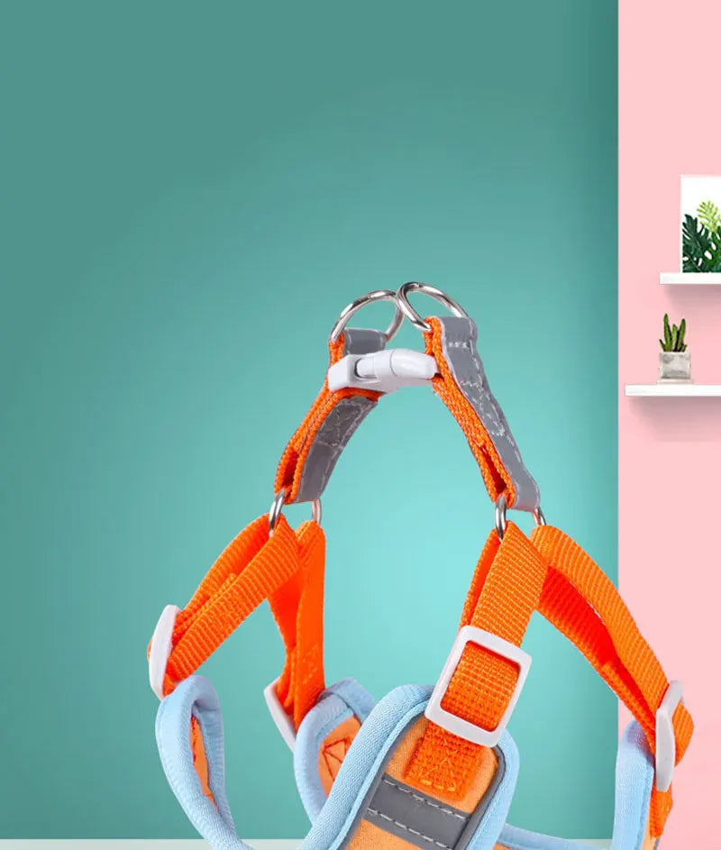 Hochwertiges, atmungsaktives Hundegeschirr – bequem, sicher und verstellbar
