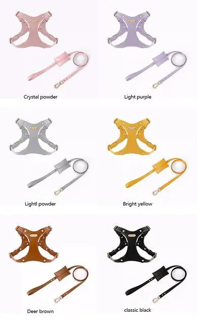 Verstellbares Leder-Hundegeschirr mit individueller Gravur